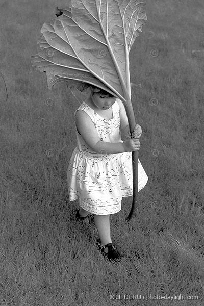 petite fille avec une rhubarbe - little girl with a rhubarb